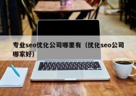 专业seo优化公司哪里有（优化seo公司哪家好）