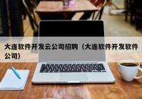 大连软件开发云公司招聘（大连软件开发软件公司）